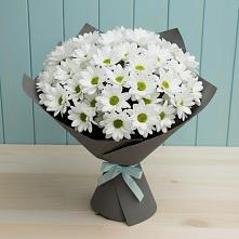 Букет цветов из:  Хризантемы #REPLACE_PRED# Южно-Курильске