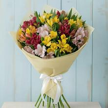 Букет цветов из:  Альстромерии в Южно-Курильске