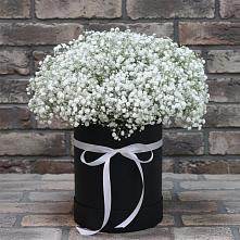 Цветочная композиция из Гипсофила в шляпной коробке в Южно-Курильске