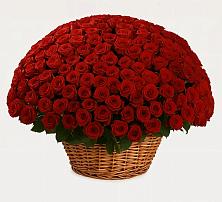 Премиум букет из: Розы в Южно-Курильске